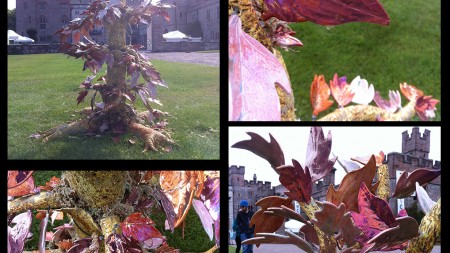 Burning Bush - Biblical Potfest